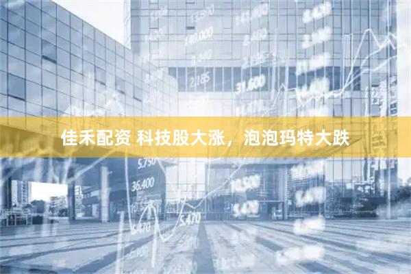 佳禾配资 科技股大涨，泡泡玛特大跌
