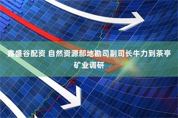 鑫盛谷配资 自然资源部地勘司副司长牛力到茶亭矿业调研